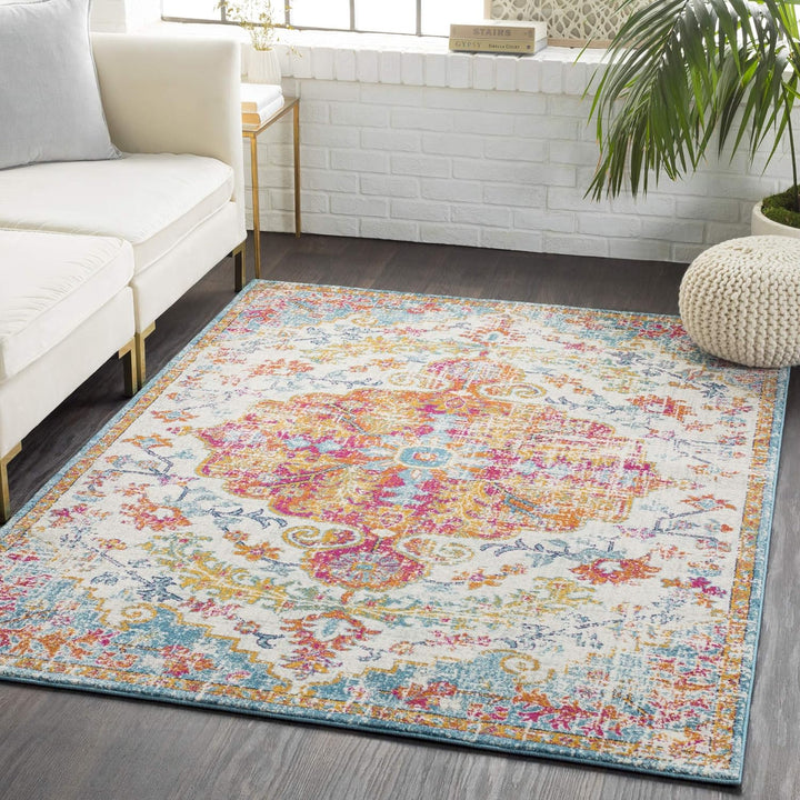 Vintage Bohemian Area Rug