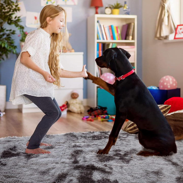 Soft Shag Area Rug for Bedroom, 5x8 Feet Fluffy Shaggy Carpet for Living Room Nursery Playroom Baby Kids Girls Room Classroom, Fuzzy Plush Rug Room Decor, Tie-Dyed Dark Grey