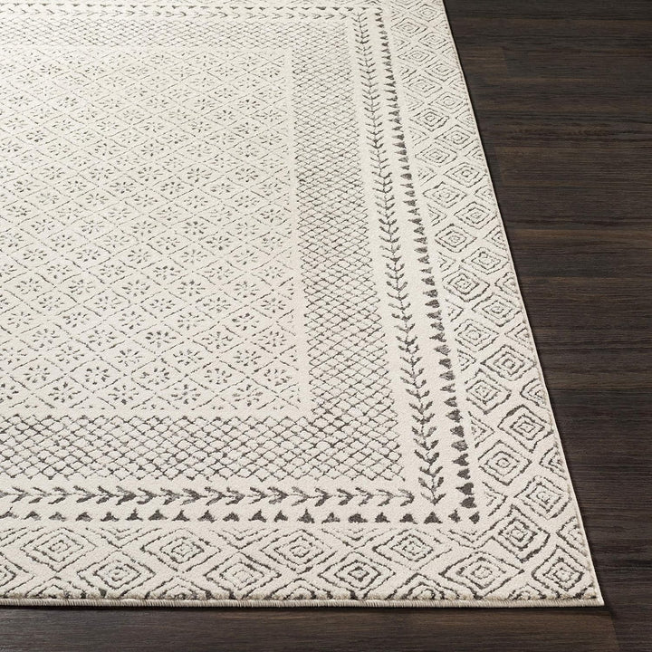 Melodie Boho Farmhouse Area Rug, Beige