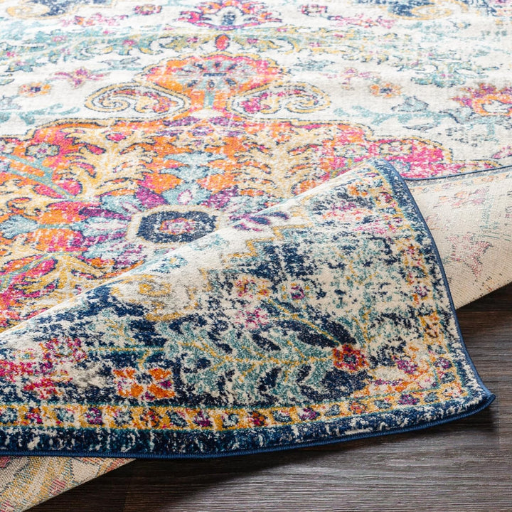 Vintage Bohemian Area Rug