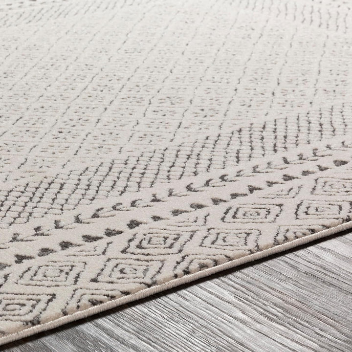 Melodie Boho Farmhouse Area Rug, Beige