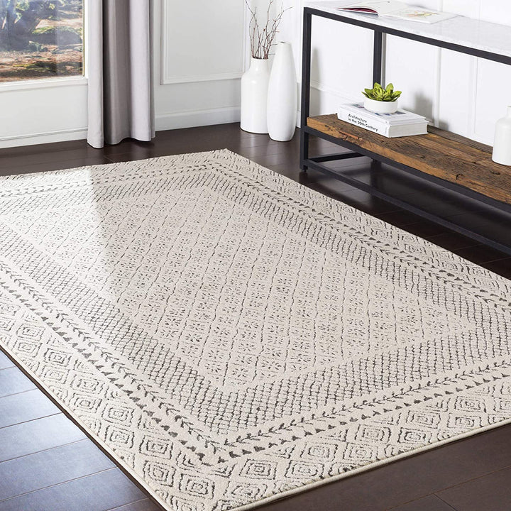 Melodie Boho Farmhouse Area Rug, Beige