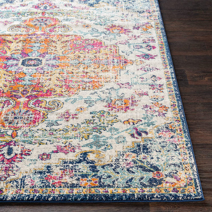 Vintage Bohemian Area Rug